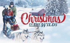 Christmas In The Wilds