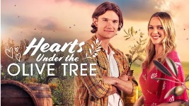 Hearts Under The Olive Tree